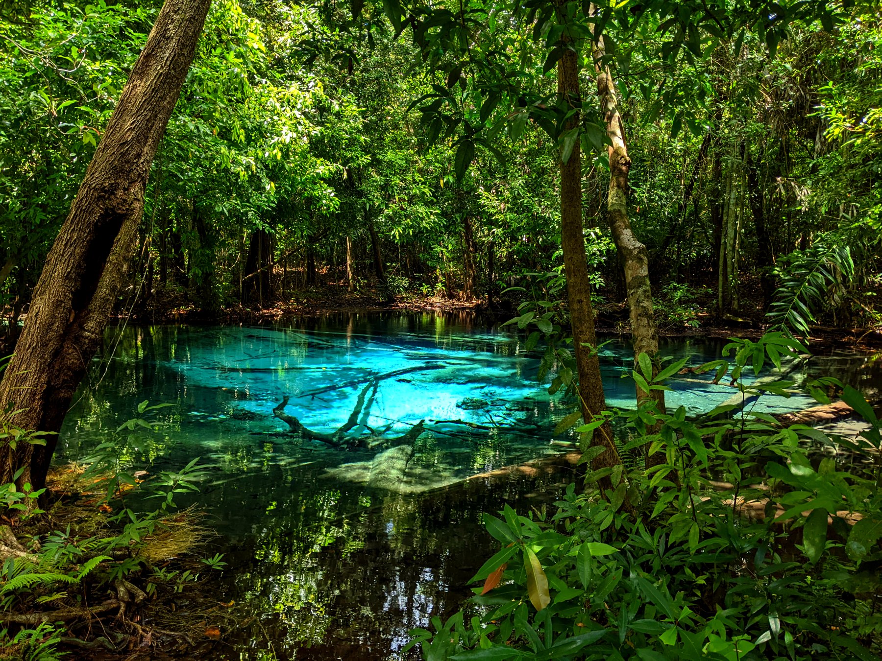 Blue Pool · เขตอนุรักษ์ป่าคลองท่อมเหนือ · กระบี่